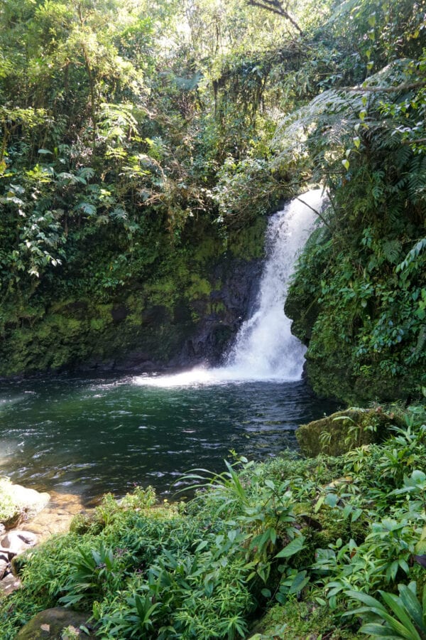 La Danta Salvaje Reserve - Costa Rica Nature Conservation