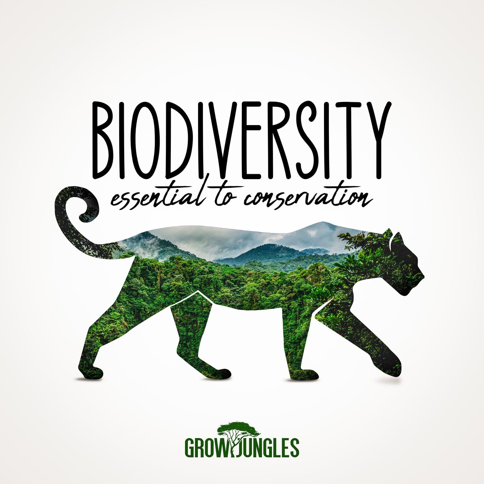 Biodiversity As The Vital Building Block For Sustaining A Healthy   Rsz Biodiversity Color 