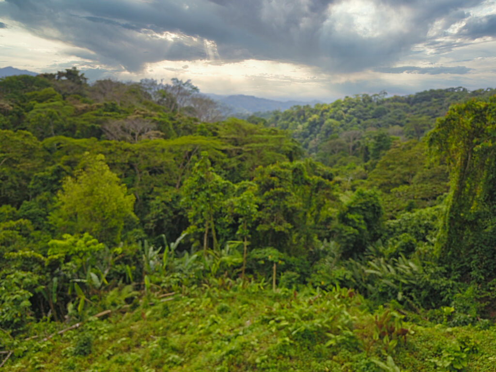 El Tigre y La Mona - Costa Rica Nature Conservation