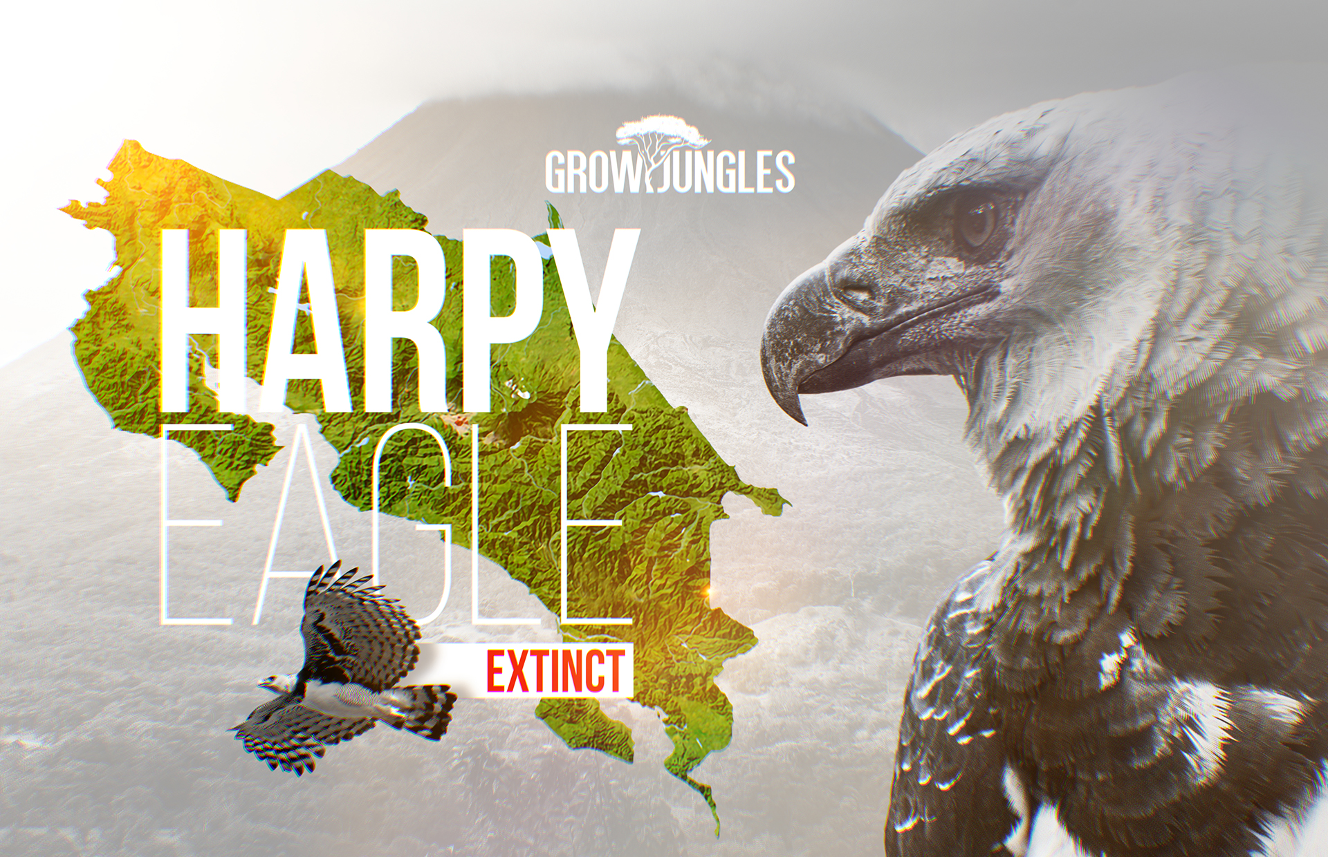 The Harpy Eagle is almost extinct in the Atlantic Rainfores - Parque das  Aves