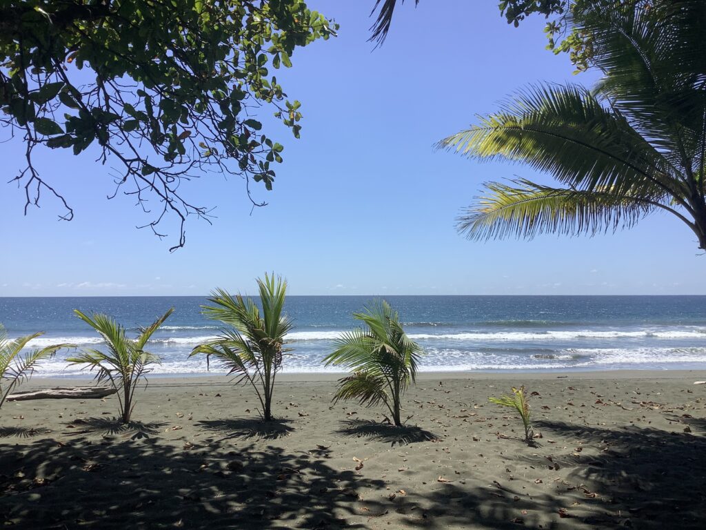 Jungla Beach - Costa Rica Nature Conservation